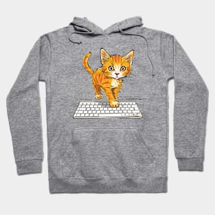 Cute Cat on Keyboard Hoodie